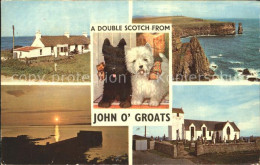 72311271 John O Groats Hund Last House Sunset Over Stroma Coast Kirk  John O Gro - Altri & Non Classificati