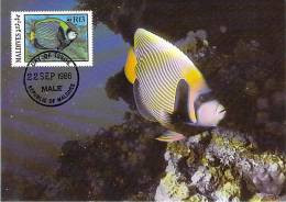 MALDIVE  WWF CARTE MAXIMUM NUM.YVERT  1080   PROTECTION DE LA NATURE  POISSON FAUNE MARINE - Maximumkaarten