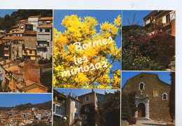 0-83019 02 03+14 - BORMES LES MIMOSAS - MULTIVUES - Bormes-les-Mimosas