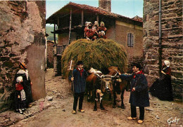 Folklore - Auvergne - Groupe Folklorique Le Brusse De Brioude - Attelage Régional - Vaches - CPM - Carte Neuve - Voir Sc - Costumes