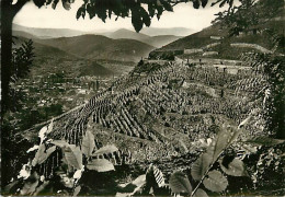 68 - Guebwiller - Vue Partielle Des Vignobles Schlumberger - Coteau Du Schimberg, Vu Du Scheiwing - Au Fond La Chaîne De - Guebwiller