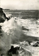 29 - Pointe Du Van - Vue Sur La Pointe Du Raz - Effet De Vagues - CPSM Grand Format - Voir Scans Recto-Verso - Autres & Non Classés