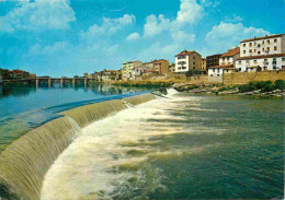 Espagne - Espana - Castilla Y Leon - Miranda De Ebro - Rio Ebro - Le Fleuve Ebro - CPM - Voir Scans Recto-Verso - Sonstige & Ohne Zuordnung