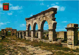 Maroc - Volubilis - Ruines Du Forum - Carte Neuve - CPM - Voir Scans Recto-Verso - Other & Unclassified