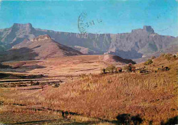 Afrique Du Sud - South Africa - Natal - Mont-aux-Sources, Drakensberg, The Amphitheatre - CPM - Voir Scans Recto-Verso - Sudáfrica