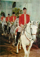 Animaux - Chevaux - Ecole Espagnole D'équitation De Vienne - Carte Neuve - CPM - Voir Scans Recto-Verso - Caballos