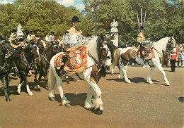Animaux - Chevaux - Royaume-Uni - Drum Horses, London - Défilé - Carte Neuve - CPM - UK - Voir Scans Recto-Verso - Chevaux