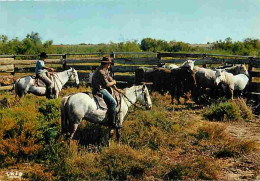 Animaux - Chevaux - Camargue - Gardians Et Chevaux Camarguais - CPM - Voir Scans Recto-Verso - Pferde