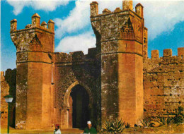 Maroc - Rabat - Bab Chellah - Porte De Chellah - CPM - Voir Scans Recto-Verso - Rabat