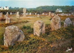 56 - Carnac - CPM - Voir Scans Recto-Verso - Carnac