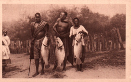 CPA - NIAFUNKÉ - Ces Poissons Des"Capitaines" Feront Rêver Bien Des Pêcheurs Européens - Edition Héliogravure - Mali