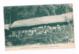 Cpa -  Forêt De Guyane - UN DIMANCHE AU PLACER MARIPA - REUNION DE MINEURS - Other & Unclassified