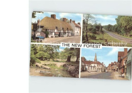 72299757 Southhampton The New Forest - Sonstige & Ohne Zuordnung