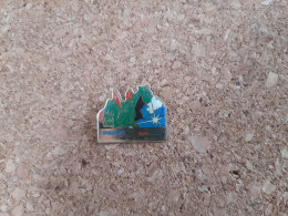 Pin's Philps Euro Disney - Electrical Parade - Dragon Vert - Disney