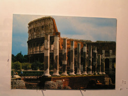 Roma (Rome) - Il Colosseo - Coliseo