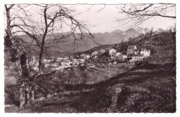 AJACCIO   (carte Photo) - Ajaccio