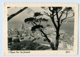 W9T82/ St. Tropez Var Foto AK 1953 Frankreich - Other & Unclassified