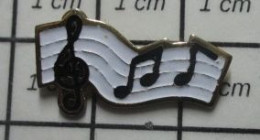 1618b Pin's Pins / Beau Et Rare : MUSIQUE / PORTEE MUSICALE CLE DE SOL NOTES - Música