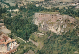 CPM . BELFORT . LE LION ( Oeuvre De BARTHOLDI ) ET LA CITADELLE  .  CARTE NON ECRITE - Belfort – Le Lion