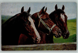 13025705 - Pferde TSN Serie 1282 - Drei - Paarden
