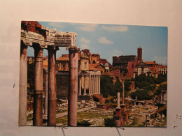 Roma (Rome) - Foro Romano - Altri Monumenti, Edifici