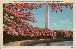 WASHINGTON D.C. 1940-1950 "Monument Trough The Cherry Blossoms" - Washington DC