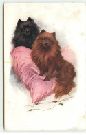 N°21646 - Animal - MM Vienne N°883 - Deux Chiens Sur Un Coussin (spitz) - Dogs