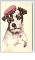 N°2575 - Chien Liftier D'un Hôtel - Fox Terrier - Dogs