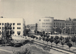 Novi Sad - Bulevar Maršala Tita 1959 - Serbia