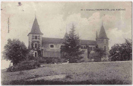 24 - B32592CPA - RIBERAC - Chateau TROMPETTE - Très Bon état - DORDOGNE - Riberac