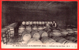 33 - B29885CPA - BLANQUEFORT - Ecole D'Agriculture  - Intérieur D'un Des Chais - Très Bon état - GIRONDE - Blanquefort