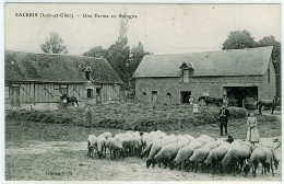 41 - T8965CPA - SALBRIS - Une Ferme En Sologne - Très Bon état - LOIR-ET-CHER - Salbris