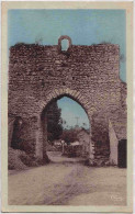 37 - B33521CPA - RILLE - Le Portail, Porte Historique - Très Bon état - INDRE-ET-LOIRE - Autres & Non Classés