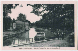 45 - B33227CPA - MONTARGIS - Grande Passerelle, Bords Du Canal - Parfait état - LOIRET - Montargis