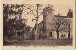 48 - B33165CPA - MEYRUEIS - Le Château D'Ayres - Parfait état - LOZERE - Meyrueis