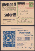 P950, O, Zudruck "Schmitz", Typ 14, Angebot 25, Sauberer Bedarf - Enteros Postales