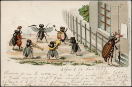 INSECTES MUSICIENS 1899 "Concerto" - Ante 1900