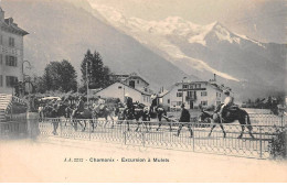 74 - CHAMONIX - SAN51905 - Excursion à Mulets - Chamonix-Mont-Blanc