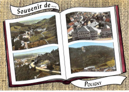 39 . N° Kri10748. Tpoligny . Vue Panoramique  . N° 115  .  Edition Sofer .  Sm 10X15 Cm . - Poligny