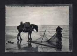 (24/04/24) BELGIQUE-CPSM COXYDE LES BAINS - KOKSIJDE BAD - SAINT IDESBALD - Koksijde