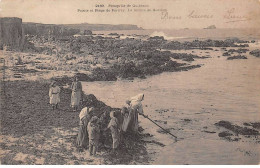 56 - PRESQU ILE DE QUIBERON - SAN55238 - Pointe Et Plage De Pontivy - La Récolte Du Goëmon - Agriculture - Quiberon