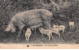 Animaux - N°83989 - Cochons - En Périgord - Une Heureuse Famille - Schweine