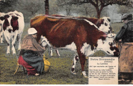 AGRICULTURE - SAN50988 - Notre Normandie - La Laitière - Crías