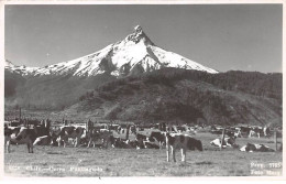 CHILI - SAN51280 - Carte Photo - Cerro - Puntiagudo - Chile