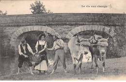 AGRICULTURE - SAN48357 - La Vie Aux Champs - Entre Deux Feux - Breeding
