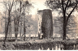 91 - MARCOUSSIS - SAN47959 - La Tour Et Les Ruines Henri IV - Autres & Non Classés