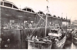 76 - DIEPPE - SAN50728 - La Halle D'arrivée Du Poisson - CPSM 14x9 Cm - Dieppe