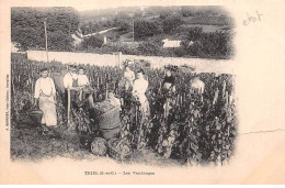 78 - TRIEL - SAN49413 - Les Vendanges - En L'état - Déchirure - Triel Sur Seine