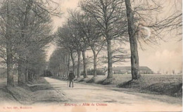 . 51 . ESTERNAY . Allée Du Château . - Esternay