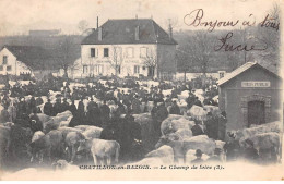 58 - CHATILLON EN BAZOIS - SAN57099 - Le Champ De Foire - Agriculture - Chatillon En Bazois